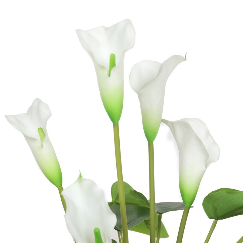 Artificial Flowering White Peace Lily / Calla Lily Plant 50cm - Rivercity House & Home Co. (ABN 18 642 972 209) - Affordable Modern Furniture Australia