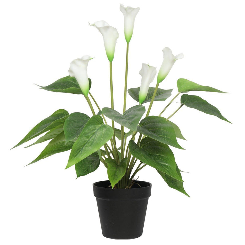 Artificial Flowering White Peace Lily / Calla Lily Plant 50cm - Rivercity House & Home Co. (ABN 18 642 972 209) - Affordable Modern Furniture Australia