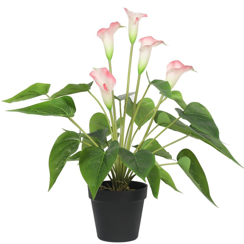 Artificial Flowering White & Pink Peace Lily / Calla Lily Plant 50cm - Rivercity House & Home Co. (ABN 18 642 972 209) - Affordable Modern Furniture Australia