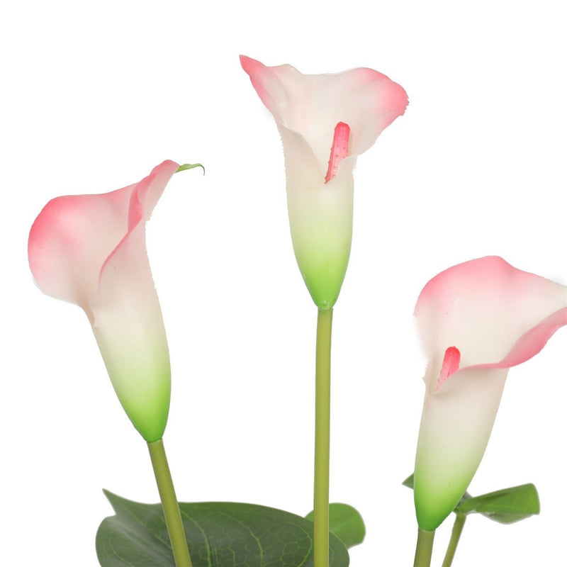 Artificial Flowering White & Pink Peace Lily / Calla Lily Plant 50cm - Rivercity House & Home Co. (ABN 18 642 972 209) - Affordable Modern Furniture Australia