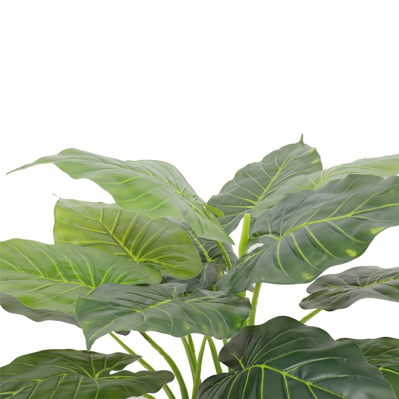 Artificial Potted Taro Plant / Elephant Ear 70cm - Home & Garden - Rivercity House And Home Co.