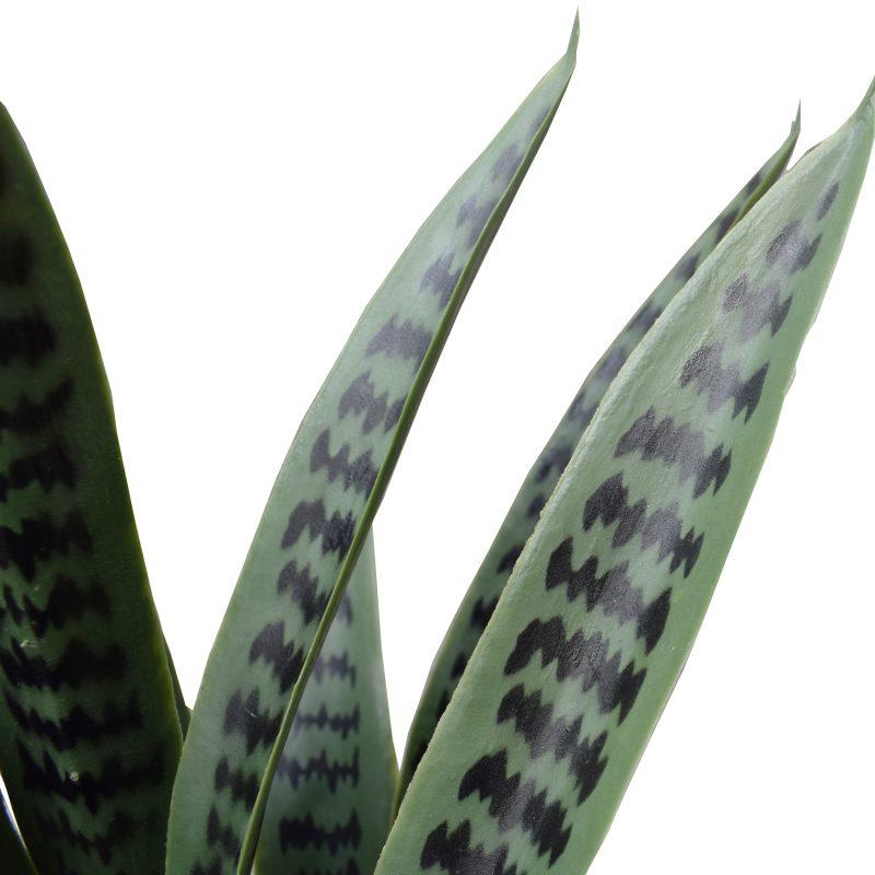 Artificial Snake Plant UV Resistant 60cm - Rivercity House & Home Co. (ABN 18 642 972 209) - Affordable Modern Furniture Australia
