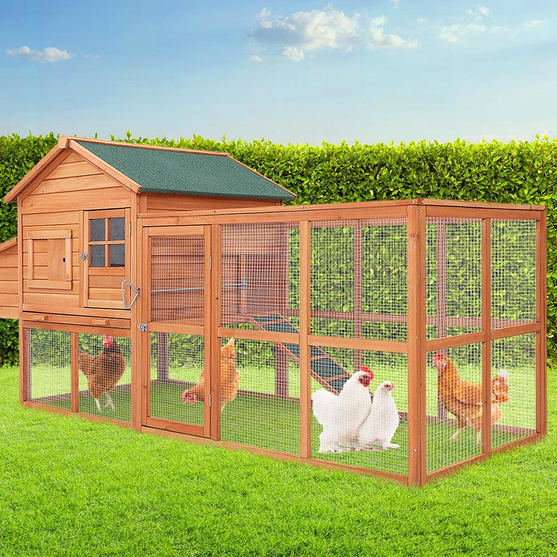 Chicken Coop XL - Pet Care - Rivercity House & Home Co. (ABN 18 642 972 209) - Affordable Modern Furniture Australia