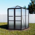 Greenhouse Aluminium 240x211x232 cm Polycarbonate Shed Brown