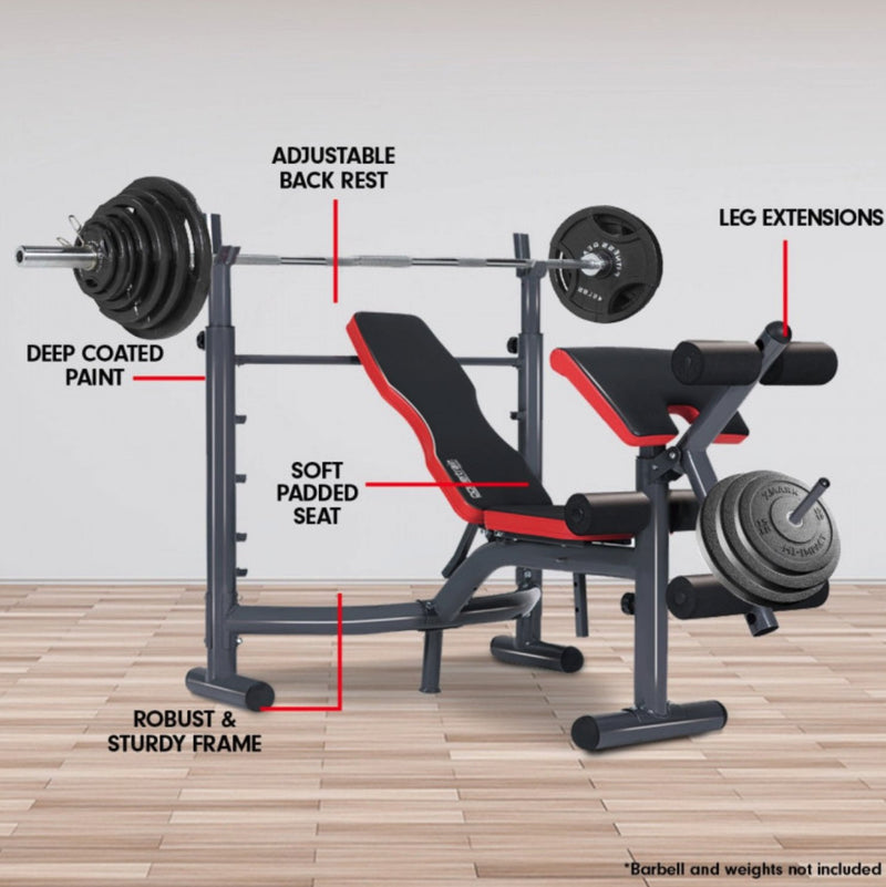 Powertrain Home Gym Workout Bench - Rivercity House & Home Co. (ABN 18 642 972 209) - Affordable Modern Furniture Australia