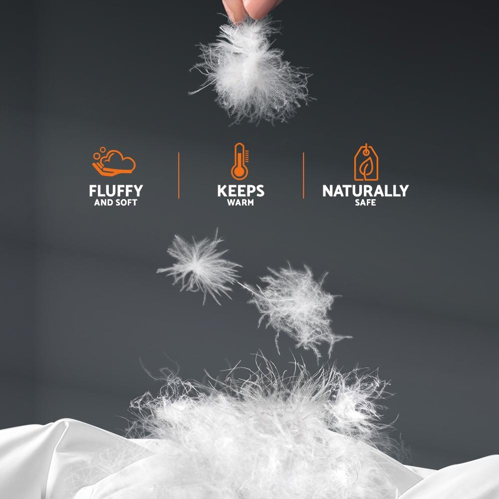 Queen Size Goose Down Quilt - Rivercity House & Home Co. (ABN 18 642 972 209) - Affordable Modern Furniture Australia