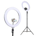 Ring Light 19Inch LED 6500K 5800LM Dimmable Diva With Stand Silver