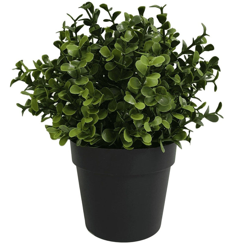 Small Potted Artificial Buxus Plant UV Resistant 20cm - Rivercity House & Home Co. (ABN 18 642 972 209) - Affordable Modern Furniture Australia