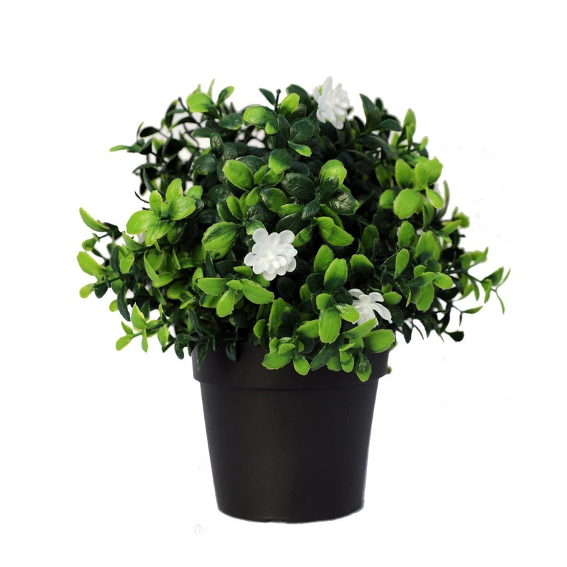 Small Potted Artificial Flowering Boxwood Plant UV Resistant 20cm - Home & Garden - Rivercity House And Home Co.
