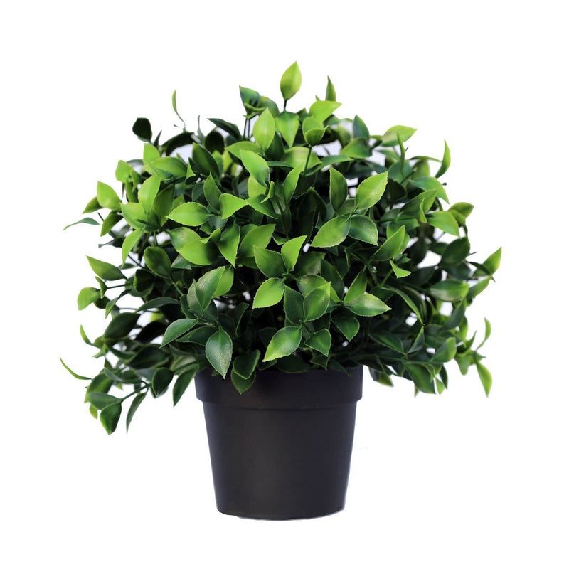 Small Potted Artificial Jasmine Plant UV Resistant 20cm - Rivercity House & Home Co. (ABN 18 642 972 209) - Affordable Modern Furniture Australia