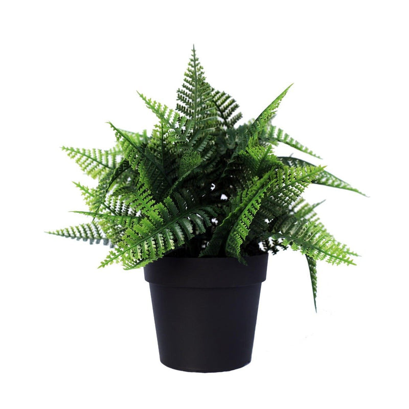 Small Potted Artificial Persa Boston Fern Plant UV Resistant 20cm - Rivercity House & Home Co. (ABN 18 642 972 209) - Affordable Modern Furniture Australia