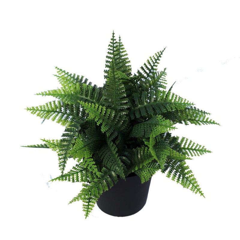 Small Potted Artificial Persa Boston Fern Plant UV Resistant 20cm - Rivercity House & Home Co. (ABN 18 642 972 209) - Affordable Modern Furniture Australia