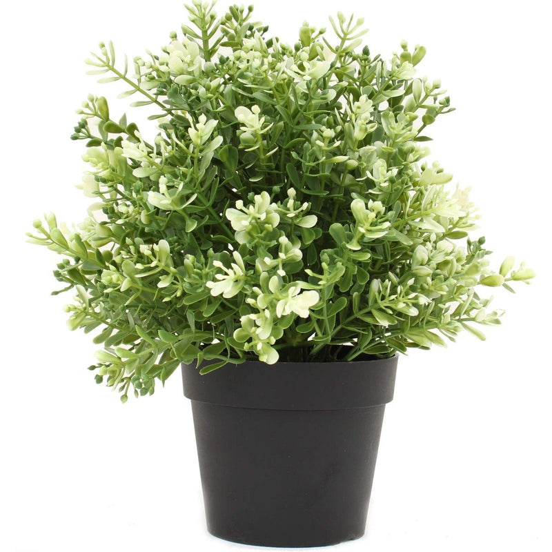 Small Potted Artificial White Jade Plant UV Resistant 20cm - Rivercity House & Home Co. (ABN 18 642 972 209) - Affordable Modern Furniture Australia