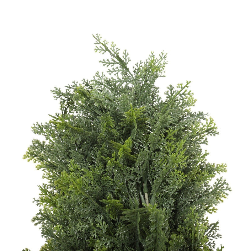 UV Resistant Cypress Pine Tree 2.1m - Home & Garden - Rivercity House And Home Co.